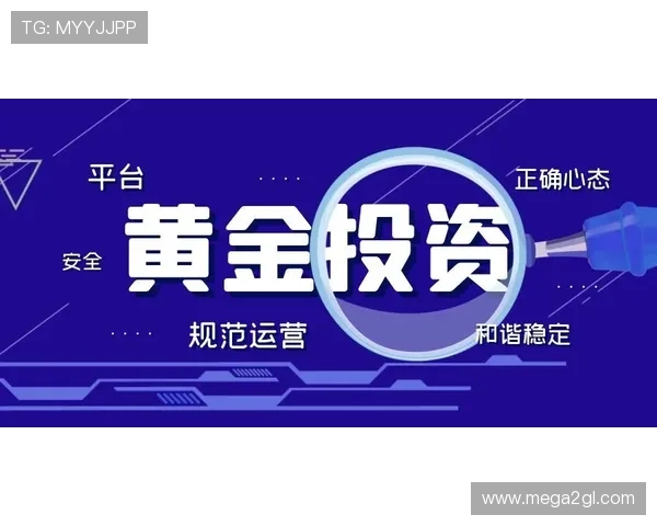 如何选择稳定高效的老虎机国际登录平台，提升游戏体验与资金保障的实用指南