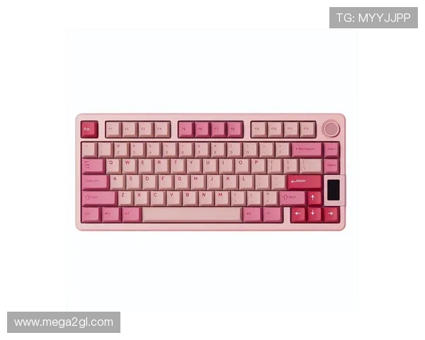 探索ttc键盘官网最新优惠活动与促销信息，享受高性价比的优质游戏装备购买体验